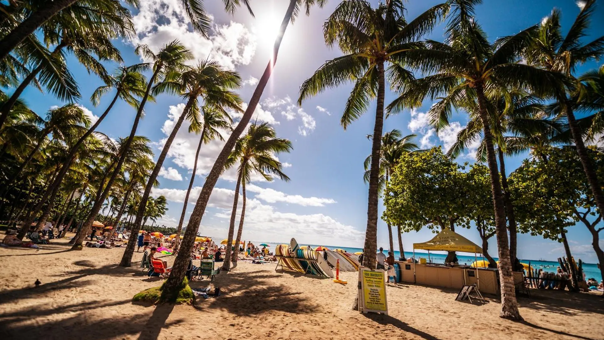 Daire Heart Of Waikiki - Ocean View Condo With Free Parking Honolulu